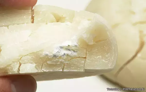 「カビが生えた餅」は捨てるべき？切り取ればOK？　カビの専門家に聞いた