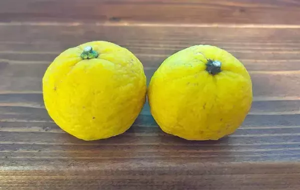 風呂に入れたユズを見た娘　放った『予想外のひと言』に母がビックリ