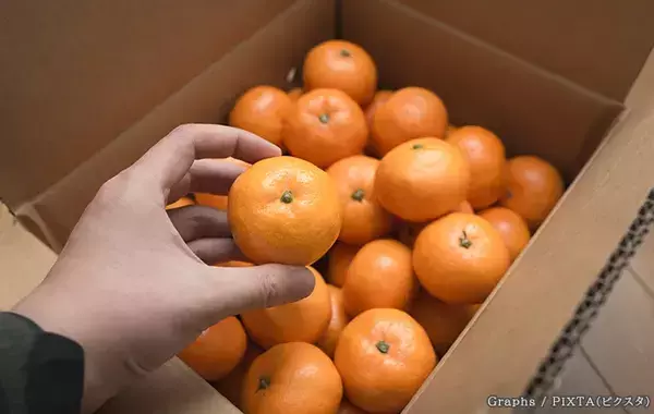 「箱買いしてすぐ食べない時は…」　腐らせないコツを、ミカン生産者に聞いた