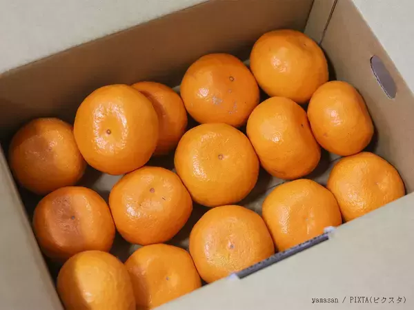 「箱買いしてすぐ食べない時は…」　腐らせないコツを、ミカン生産者に聞いた