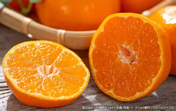 「箱買いしてすぐ食べない時は…」　腐らせないコツを、ミカン生産者に聞いた