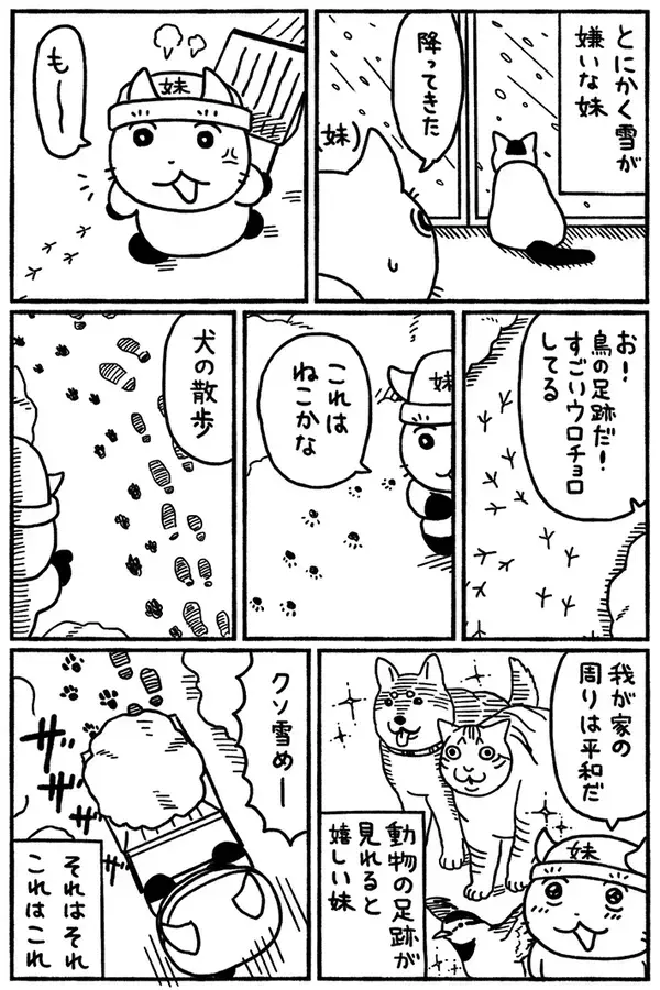 「昔は雪が好きだったけど…」　青森のリアルな生活に共感の声【エッセイ漫画】