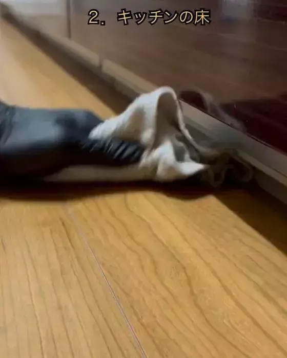 玄関や洗面所、同じ方法で掃除してない？　正しい使い分けに「知らなかった」「メモした」