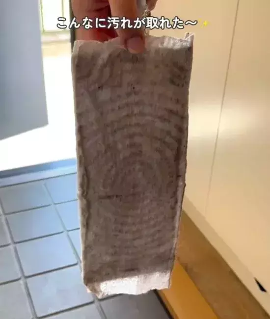 「玄関の雑巾がけはしません」　掃除の裏技に「頭いい」「その手があったか」