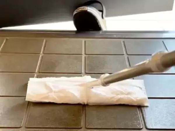 「玄関の雑巾がけはしません」　掃除の裏技に「頭いい」「その手があったか」