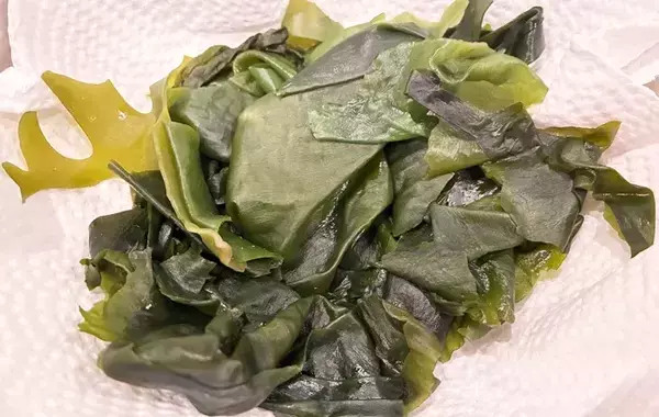 味噌汁でも酢の物でもない！　ありそうでなかったワカメの意外な調理法とは