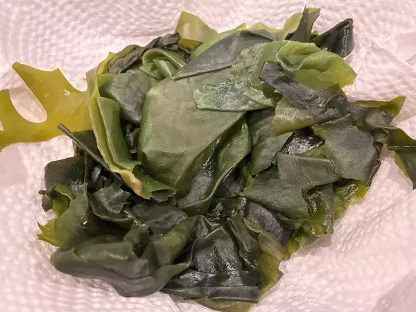 味噌汁でも酢の物でもない！　ありそうでなかったワカメの意外な調理法とは