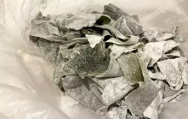 味噌汁でも酢の物でもない！　ありそうでなかったワカメの意外な調理法とは