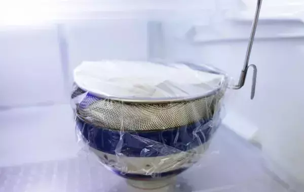 余りがちなヨーグルト　意外な活用法に「まるで高級チョコ」「家族もビックリ」