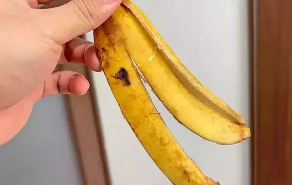 バナナの皮、捨てないで！　思わぬ活用法に「もったいないことしてた」