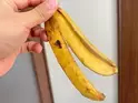 バナナの皮、捨てないで！　思わぬ活用法に「もったいないことしてた」