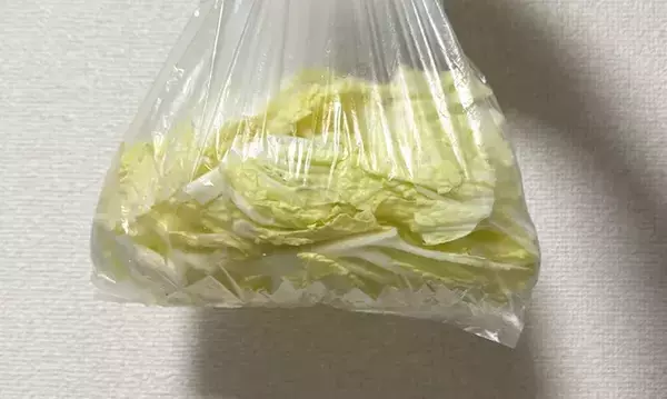 【沼、確定】しなびた白菜に『うどんスープ』を振りかけてみて！想像を超えるウマさが待ってた