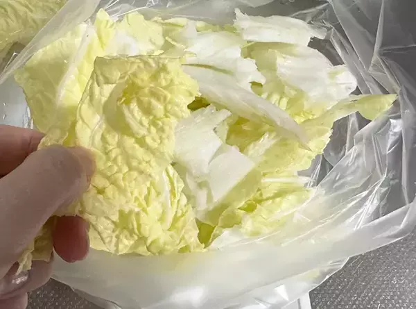 【沼、確定】しなびた白菜に『うどんスープ』を振りかけてみて！想像を超えるウマさが待ってた