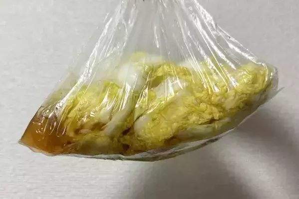 【沼、確定】しなびた白菜に『うどんスープ』を振りかけてみて！想像を超えるウマさが待ってた