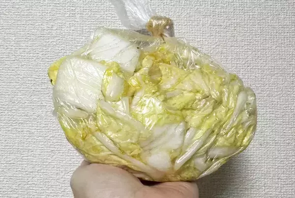 【沼、確定】しなびた白菜に『うどんスープ』を振りかけてみて！想像を超えるウマさが待ってた