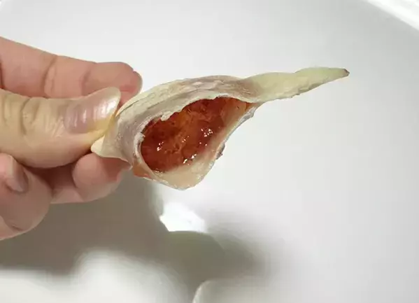餃子の皮で包んで焼くだけ！　餃子の皮にジャムをのせてトースターで焼いてみると…？