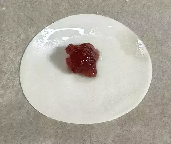 餃子の皮で包んで焼くだけ！　餃子の皮にジャムをのせてトースターで焼いてみると…？