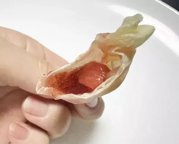 餃子の皮で包んで焼くだけ！　餃子の皮にジャムをのせてトースターで焼いてみると…？