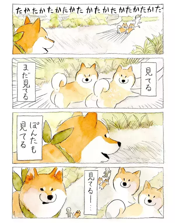 散歩中、突然フリーズした柴犬　視線の先の『相手』が…「真剣勝負？」【漫画】
