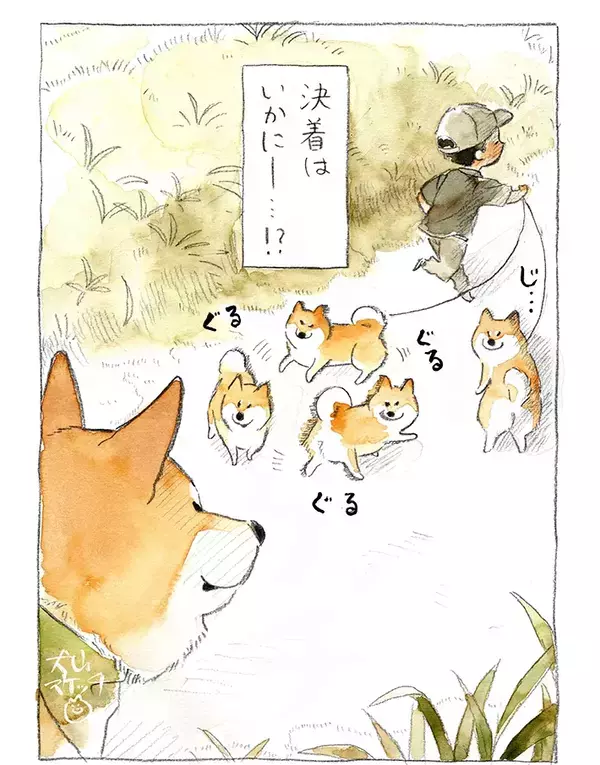 散歩中、突然フリーズした柴犬　視線の先の『相手』が…「真剣勝負？」【漫画】