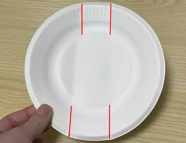 量産型ギフトにもってこいな『ボックス』　紙皿で作るアイディアを試してみると…？