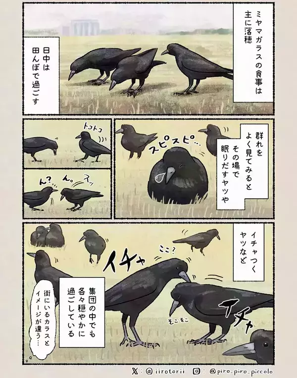 イメージと違う？　カラスの意外な過ごし方がこちら【エッセイ漫画】