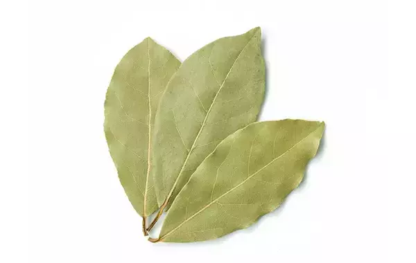 カレーにローリエの葉はいつ入れる？　意外と迷うタイミングを、エスビー食品に聞いた