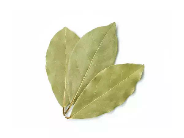 最初から煮込む？仕上げに入れる？　ローリエのタイミングを、エスビー食品に聞いた