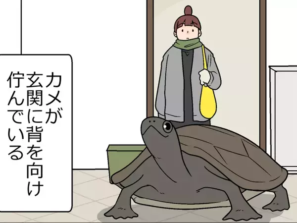 ツンデレなカメ？　ゾウガメとの暮らしを描いた漫画に癒される！