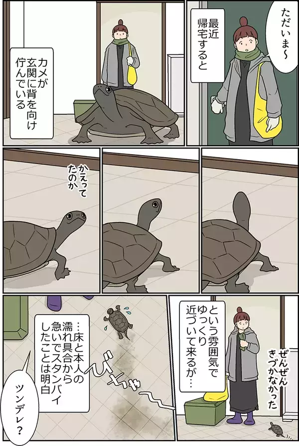 ツンデレなカメ？　ゾウガメとの暮らしを描いた漫画に癒される！