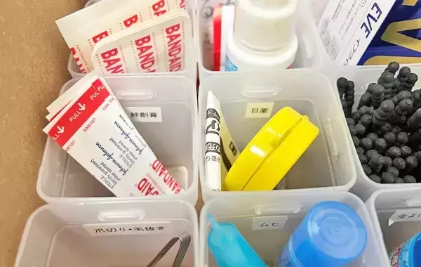 100均『くつした整理カップ』が超優秀！　意外な使い方に「家族が困らない」