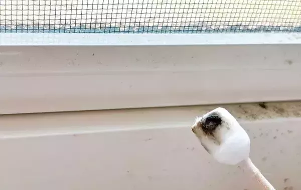 セリアの綿棒で「ストレス解消！」　掃除に使うテクに「家中がきれいになった」「リピ確定」