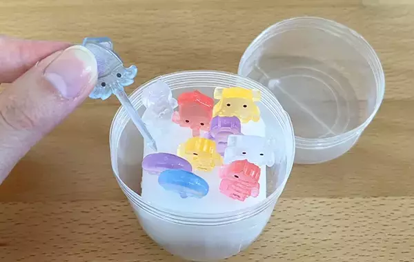 まだ捨てないで！　中身を使い終わった『爪楊枝ケース』にスポンジを入れると…【収納ワザ】