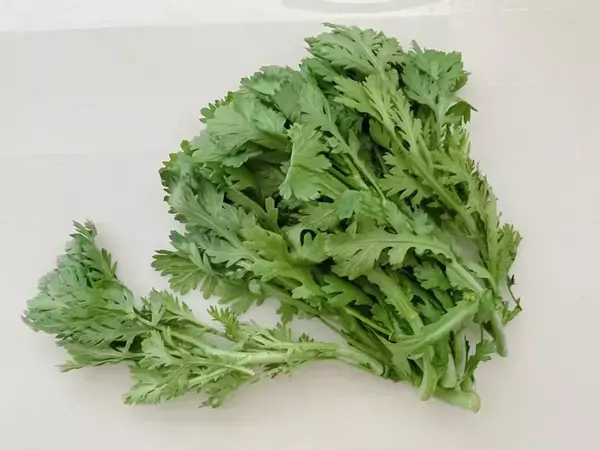 ザク切りにして和えるだけ！　春菊の『生食』に「知らなかった」「無限にいける」【旬のレシピ4選】