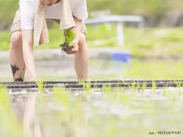 『鉄腕DASH』城島茂が出演継続　番組が今後の方針説明