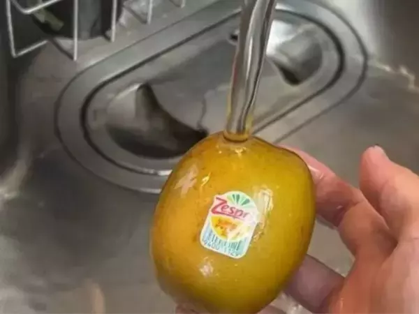 冷凍したキウイ　表面に水をかけると…「絶対やる」「次からコレ」