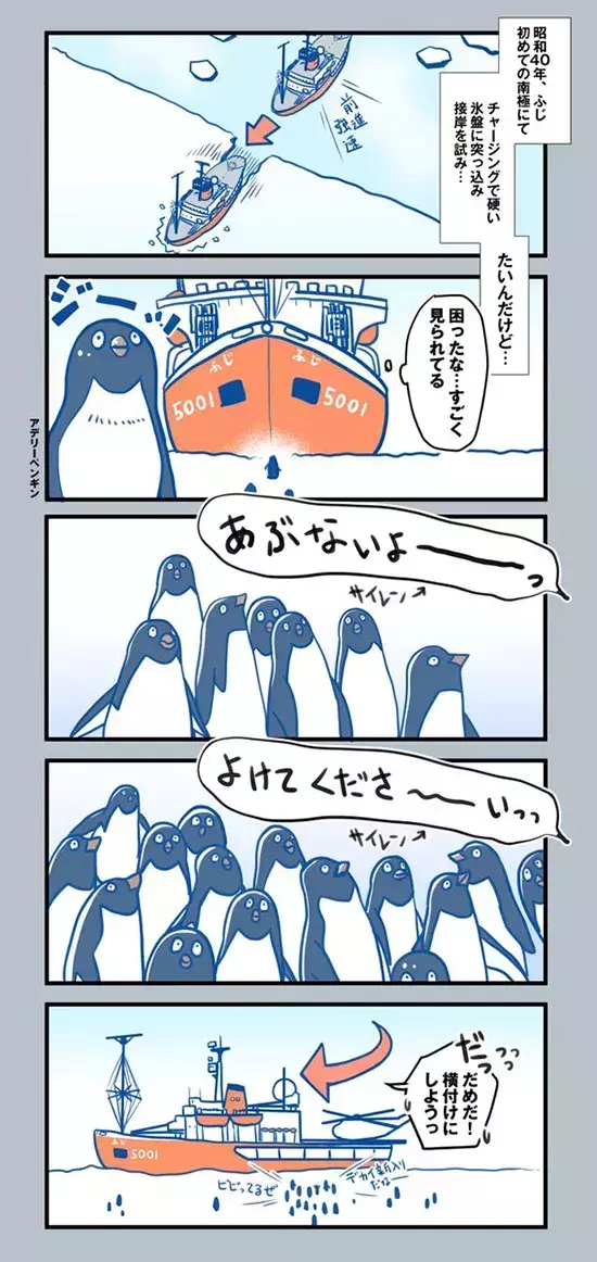 南極のペンギンを描いた漫画に反響　観測船が近づこうとすると…？
