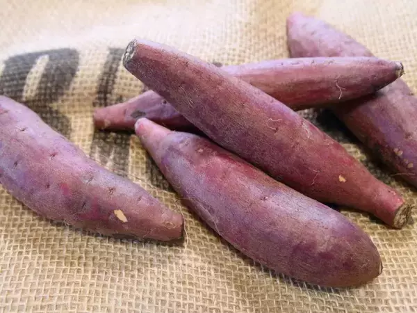 濡らしたペーパーで包んで…　レンジで作る焼き芋に「ねっとり」「最高においしい」【料理の裏技4選】