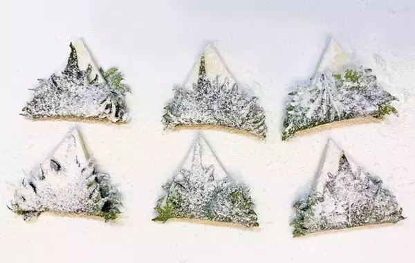 具材2つ、10分で完成！　『6Pチーズ』の天ぷらに「夫が感動」「また作る」