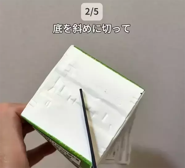 「豆苗のケースは意外」 洗い物と手間を減らす牛乳パックの裏ワザ