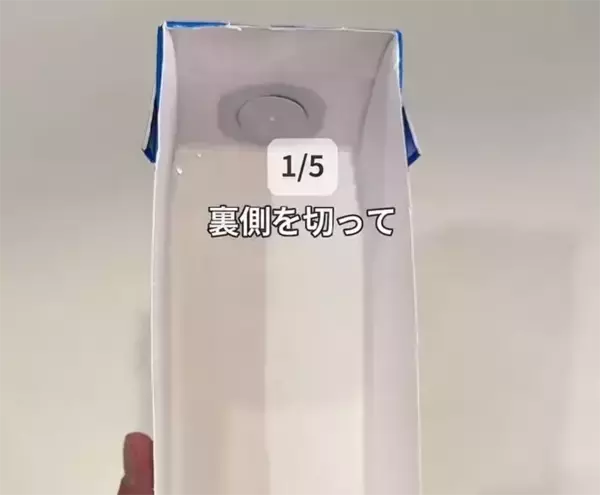 「豆苗のケースは意外」 洗い物と手間を減らす牛乳パックの裏ワザ