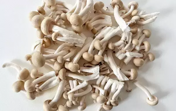 まだ豚汁作ってる？　いつもと違う味噌汁に「中学生息子が3杯おかわり」