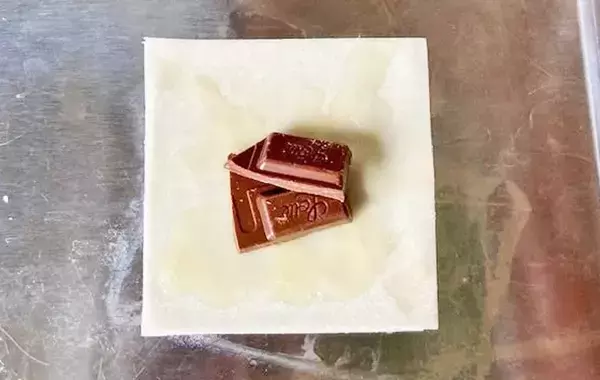 シューマイの皮、余っても捨てないで！　3分で子供に大ウケの『おやつ』に化けさせる方法