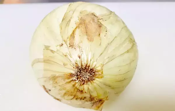 7歳息子が「もっと食べたい」　焼いた新玉ねぎに使った調味料は？