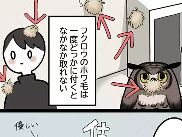 「すごく分かる」付着したミミズクの毛を取ろうとしたら？　微笑ましい一幕を漫画で描く【エッセイ】