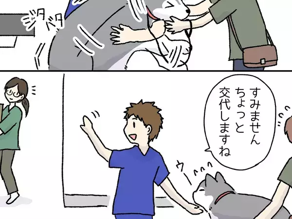 「あるあるで笑った」「正直すぎる」　動物病院で処置を嫌がる犬、スタッフが代わると…【漫画】