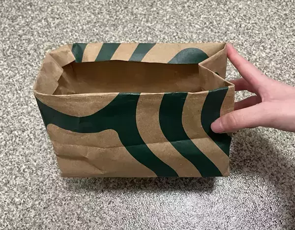 ティッシュをたくさん使う時期に　便利で快適な紙袋のティッシュケースを作ってみた