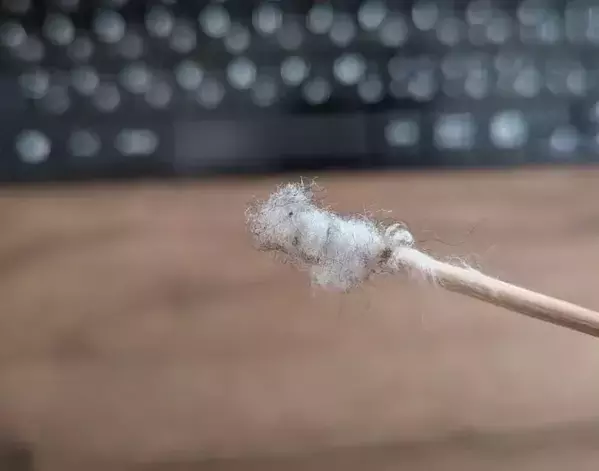 つまようじに『コットン』を巻きつけるだけ　極細スティックの使い道に感動！