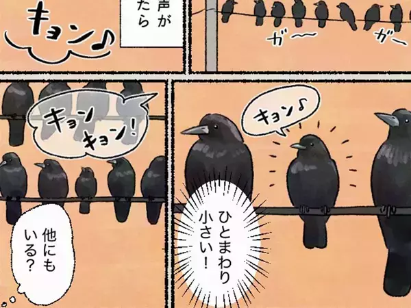 ミヤマガラスの大群の中に…　しれっと紛れた白黒の個体に「へえええ！」【動物エッセイ漫画】