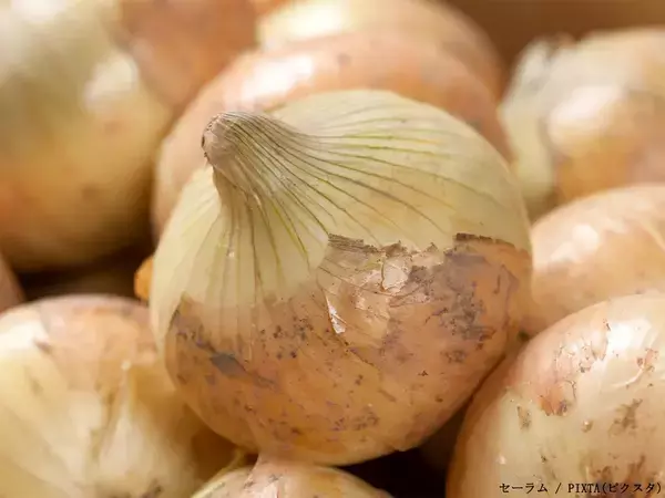 冷蔵と常温、冬の野菜保存はどっちがいい？　野菜ソムリエの回答は…